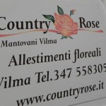 COUNTRY ROSE